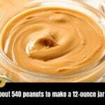 The truth about Peanut Butter & its benefits that everybody should know | Did you know?